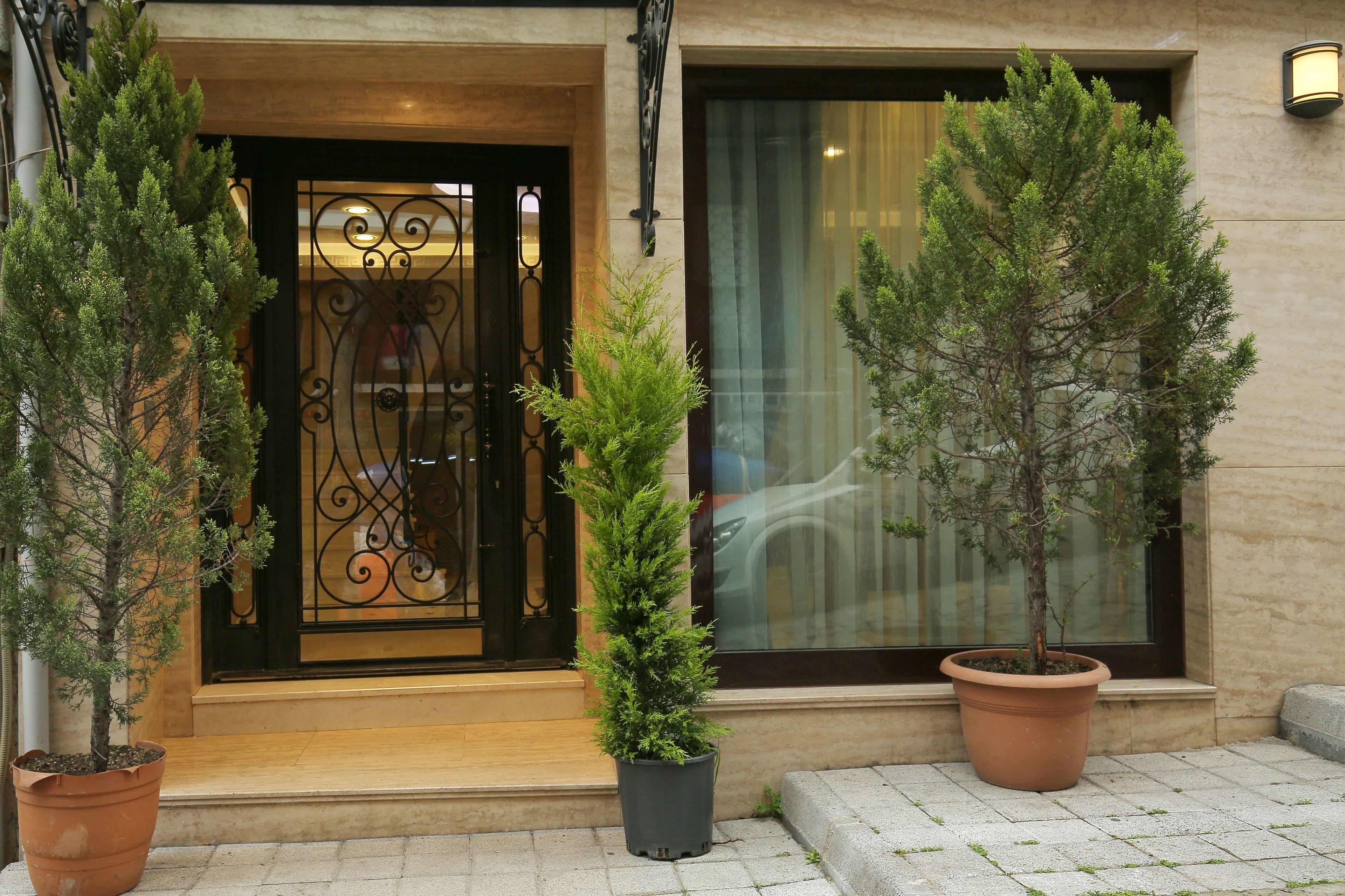 Artika Hotel — Photos 3